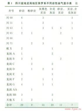 川中地區(qū)侏羅系適合頁巖油氣藏開采的地質依據(jù)