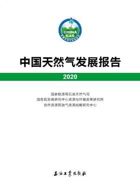 2020中國天然氣發(fā)展報(bào)告（含2017、2018、2019、2020）